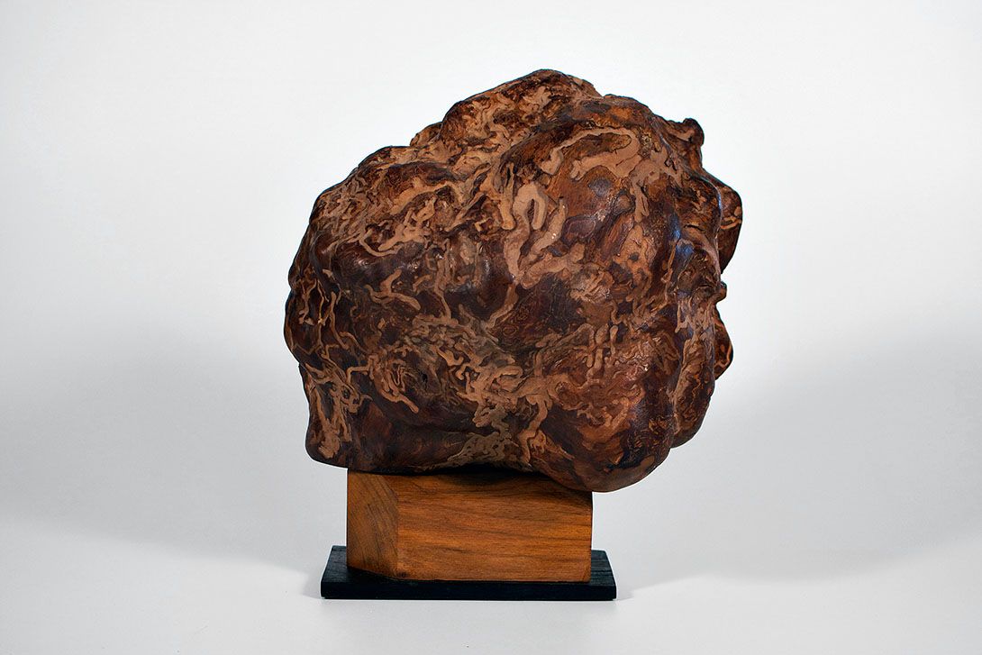 Foto Set of Two Bookends Roots h25x23x13