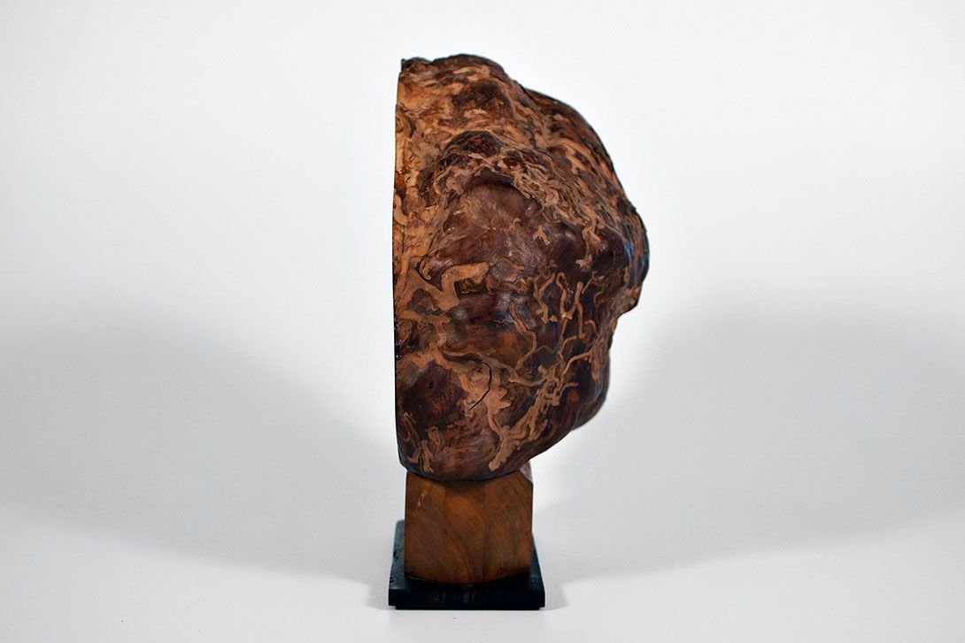 Foto Set of Two Bookends Roots h25x23x13