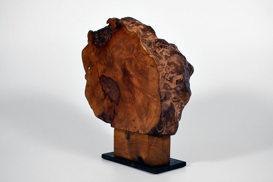 Foto Set of Two Bookends Roots h25x23x13