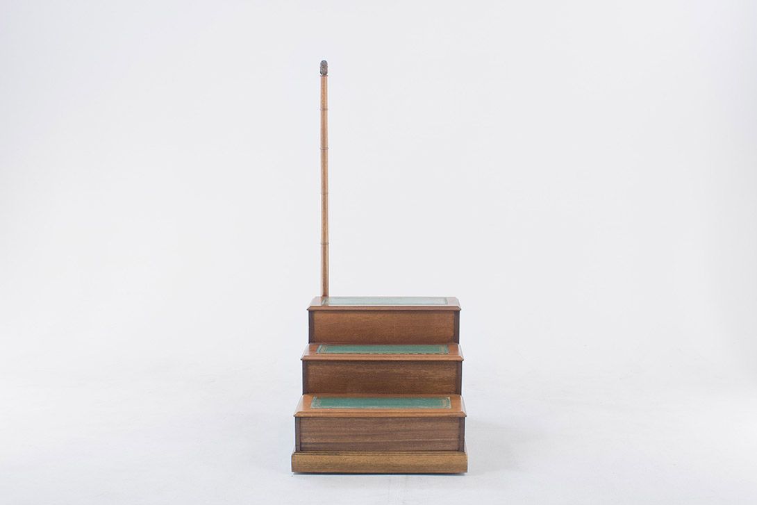 Foto Library Ladder with Hidden Mini Bar h154x63x79