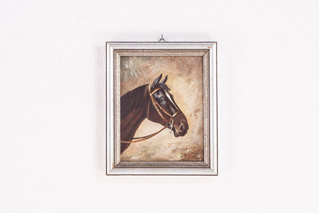 Foto Painting of a Horse h35x30 24A2