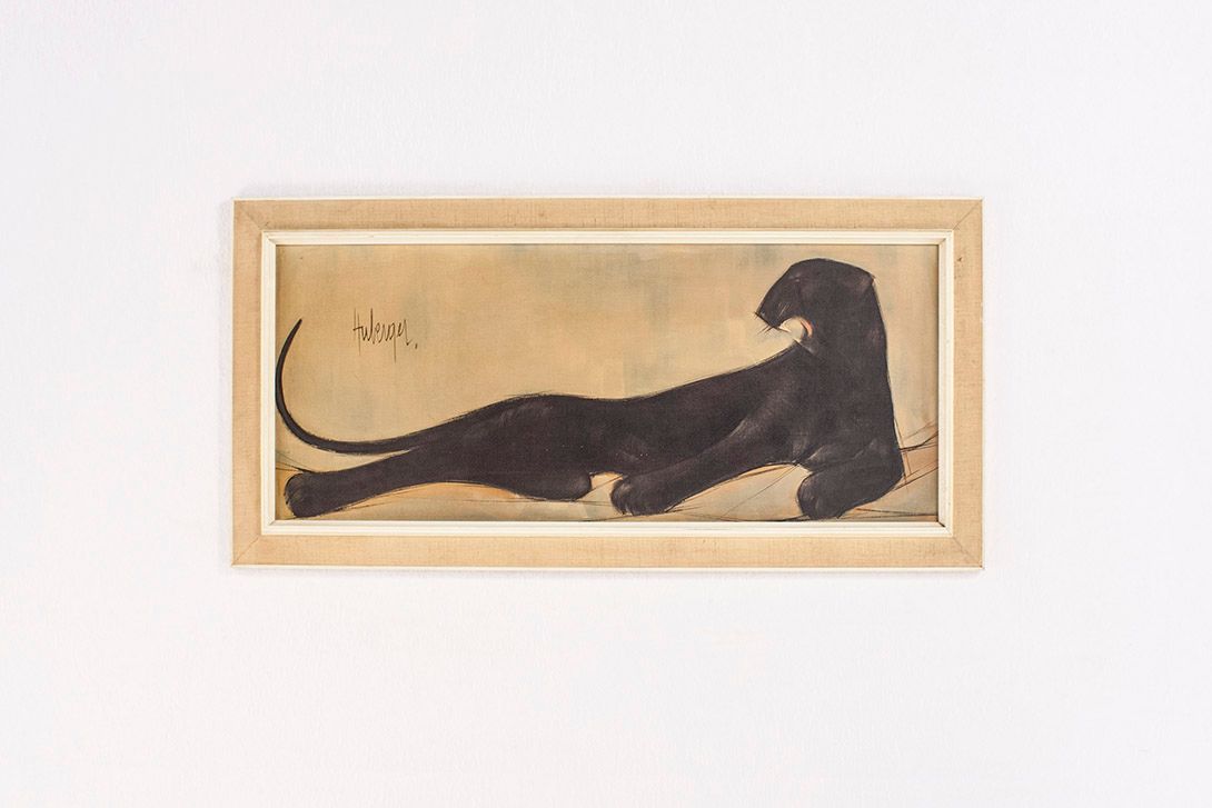 Foto Print of Black Panther 1962 h51x108 cm 13C8