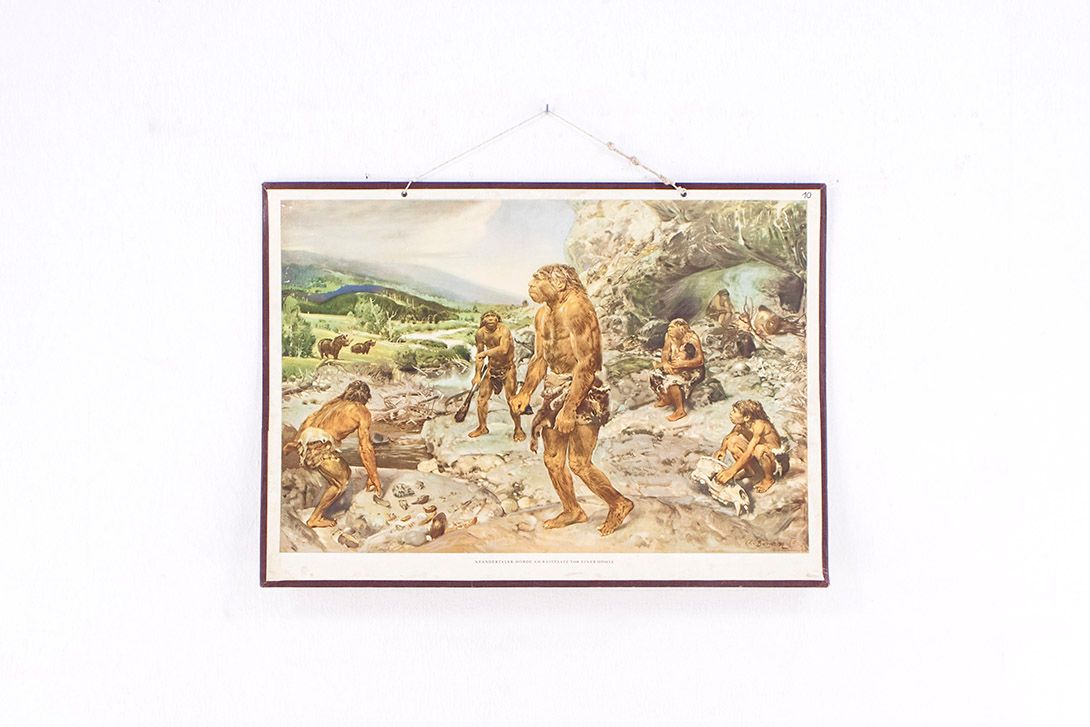 Foto History School Poster of Neanderthals h63x88