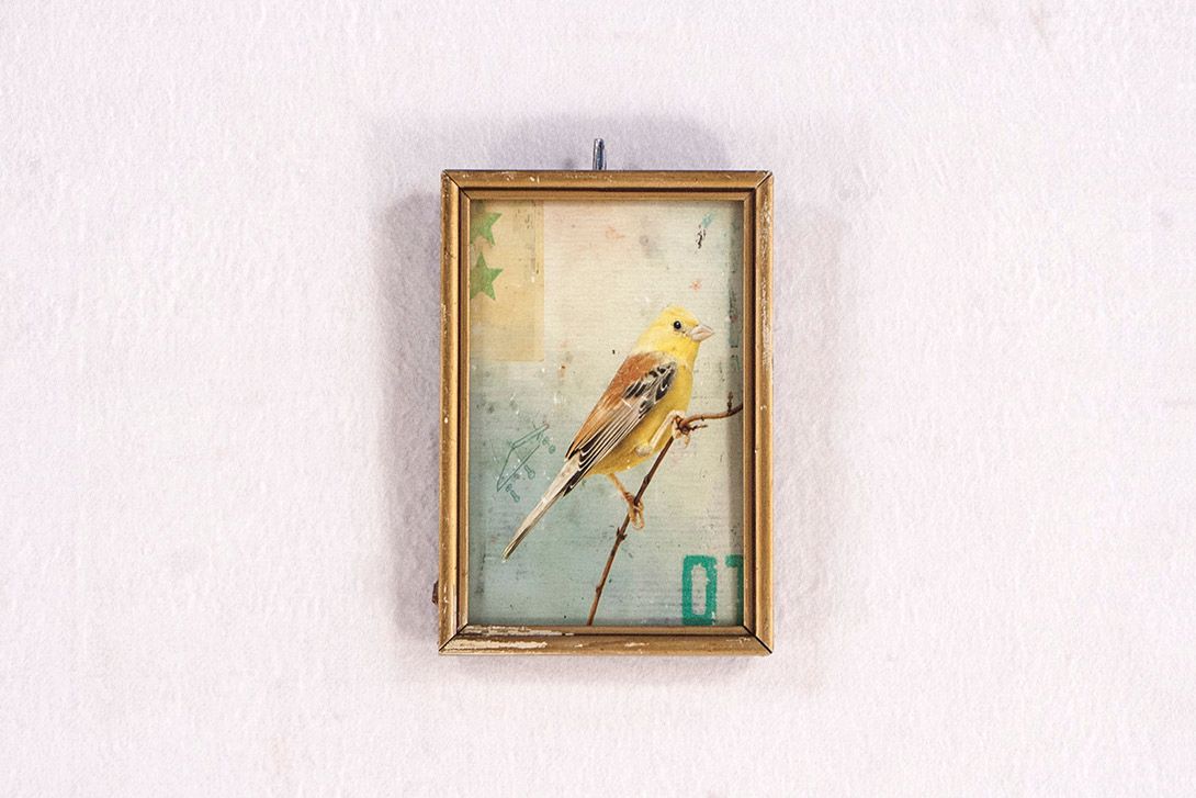 Foto Picture of a Bird Hanging and Standing Frame h16x11cm 15B13