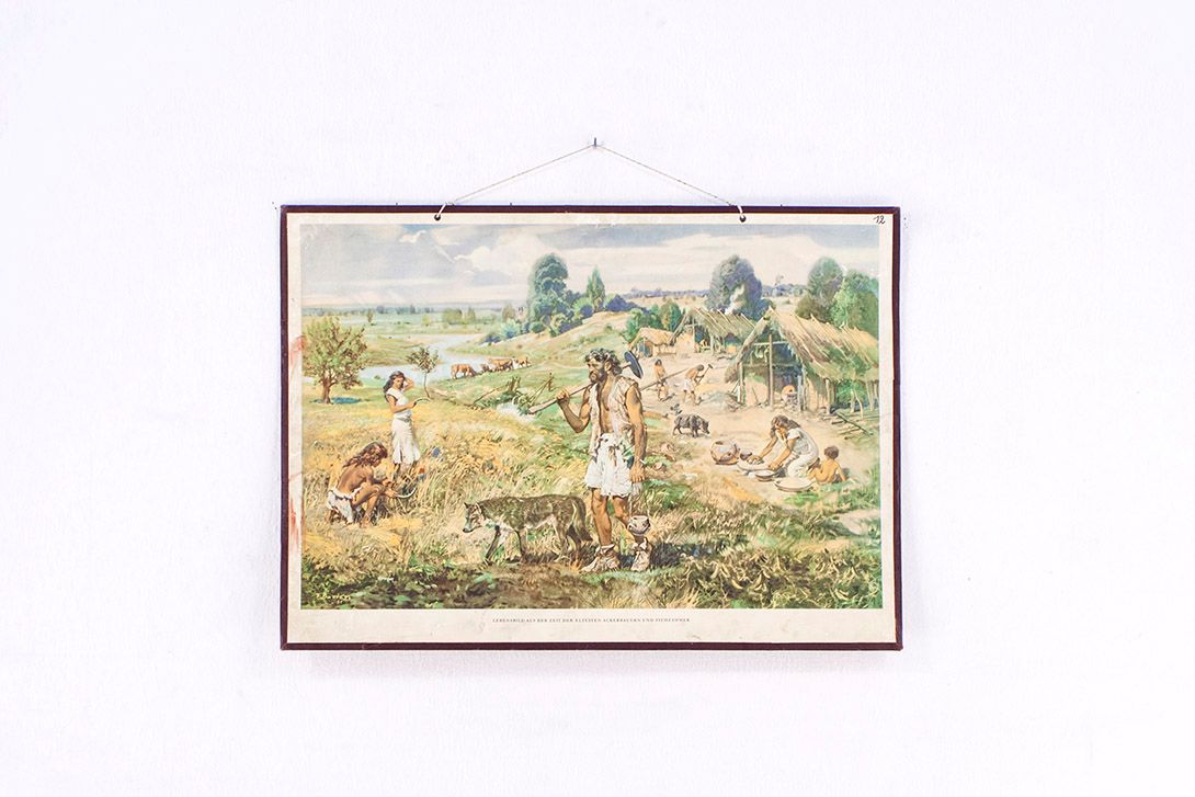 Foto History School Poster of Prehistorical Men h63x88