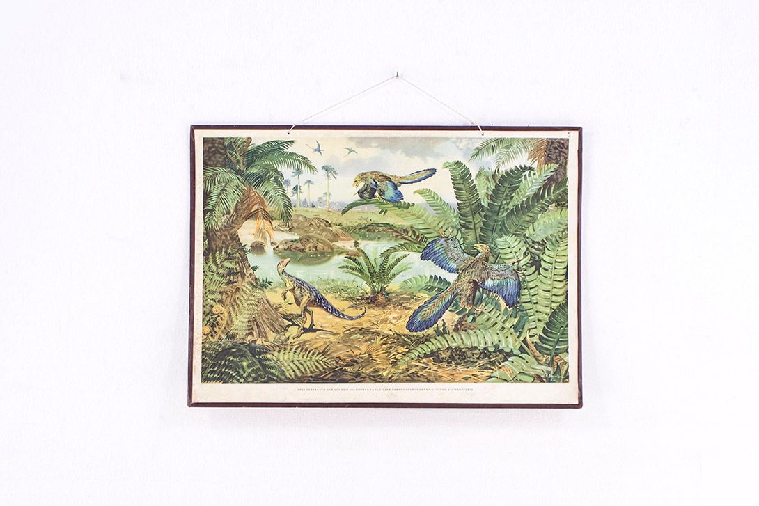 Foto History School Poster of Dinosaurs h63x88