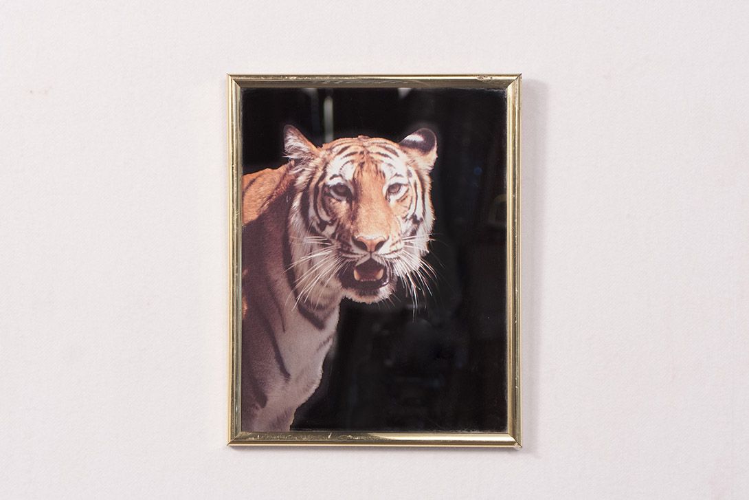 Foto Mirror with Tiger Image h25x20 14A10