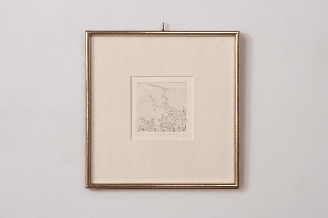 Foto Drawing of a Flower Meadow by M. Obermüller 1975 h26x26 16B1