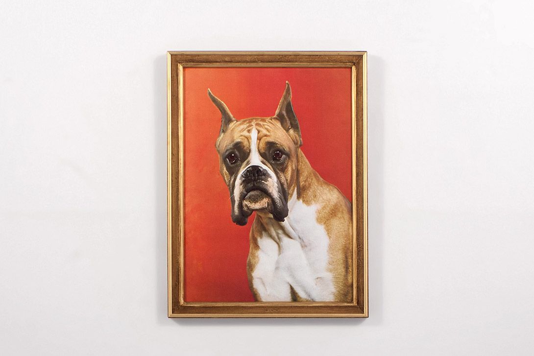 Foto Relief Print of a Boxer h74x55 14D8