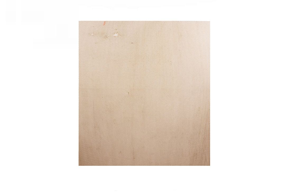 Foto Old Fishing Net 500x280cm