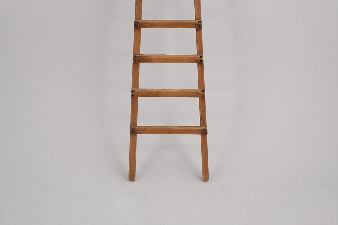 Foto Ladder h240x48x8