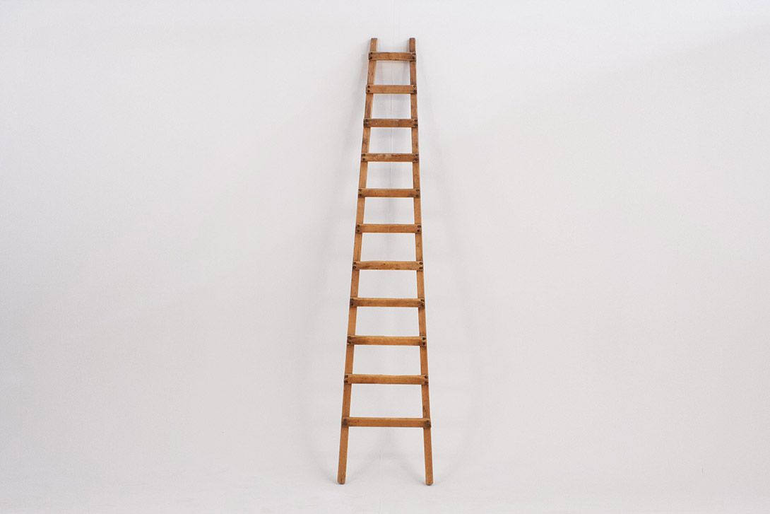 Foto Ladder h240x48x8