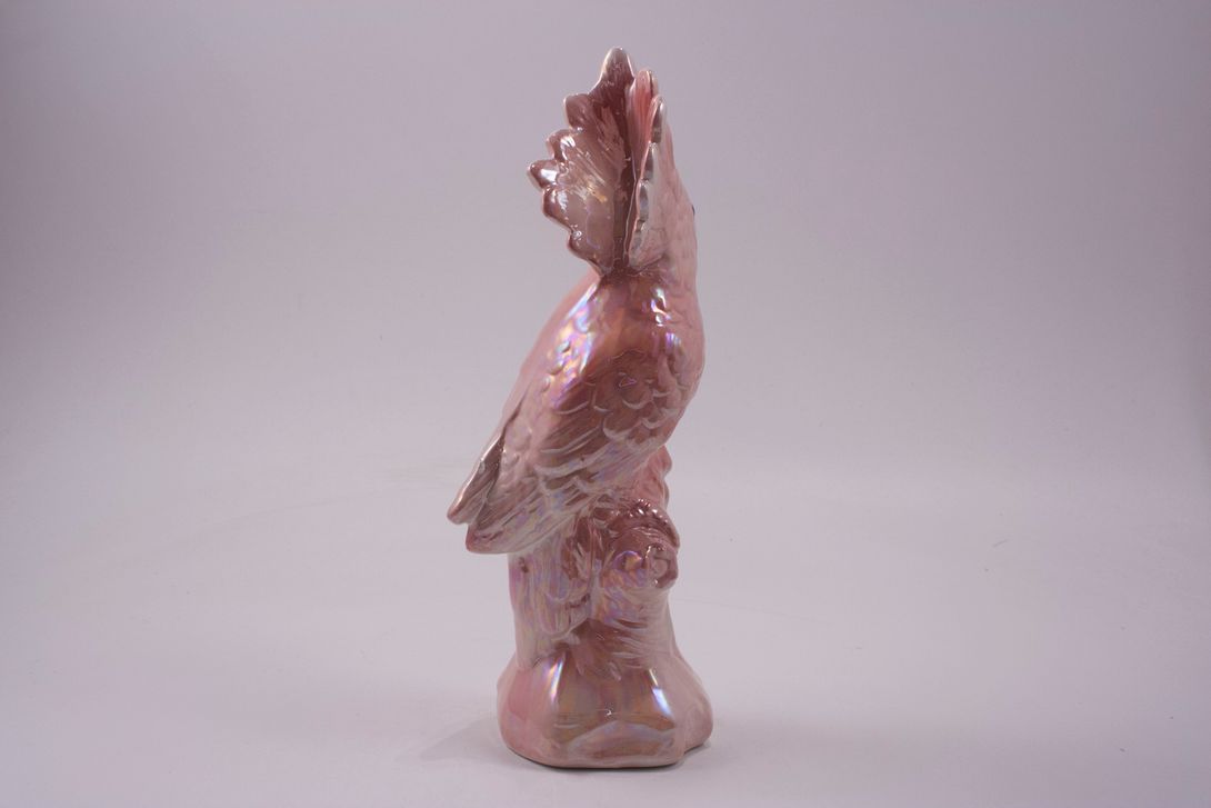 Foto Cockatoo Sculpture