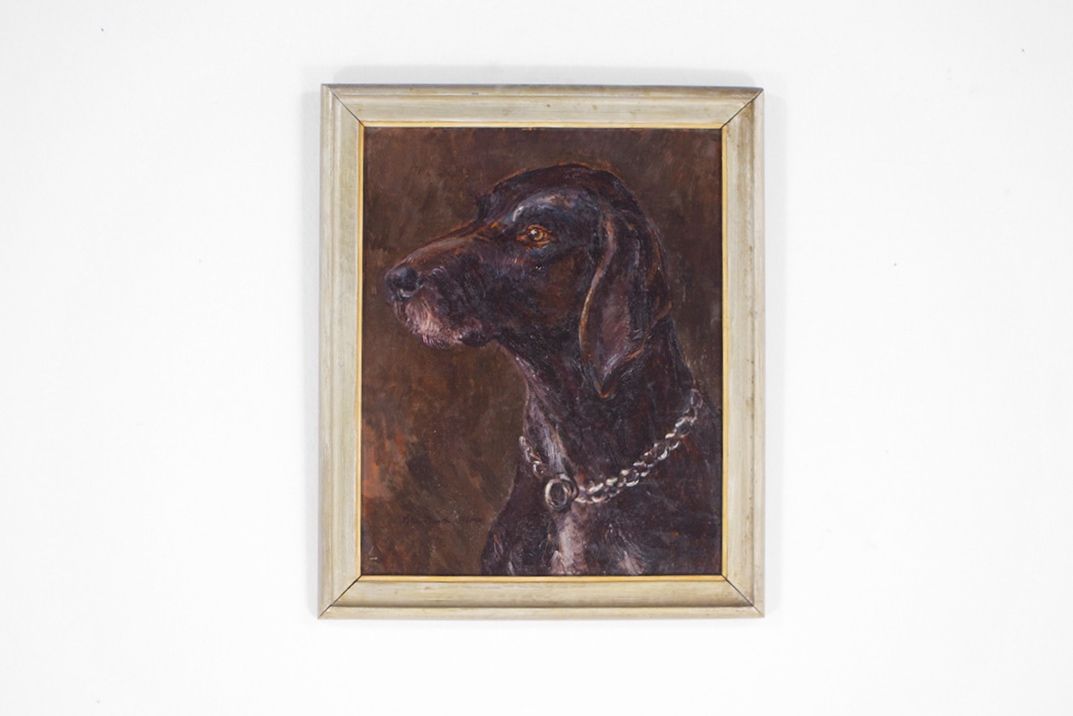 Foto German Shorthair Pointer Hunting Dog Painted Portrait Mecklenburg 1890 24E12