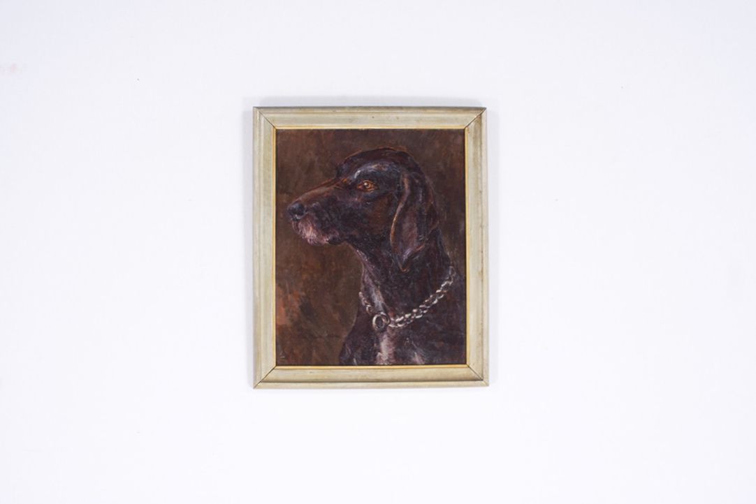 Foto German Shorthair Pointer Hunting Dog Painted Portrait Mecklenburg 1890 24E12