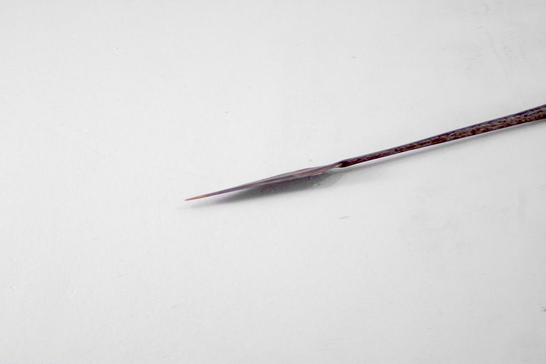 Foto Medieval Roman Metal Detailed Spear