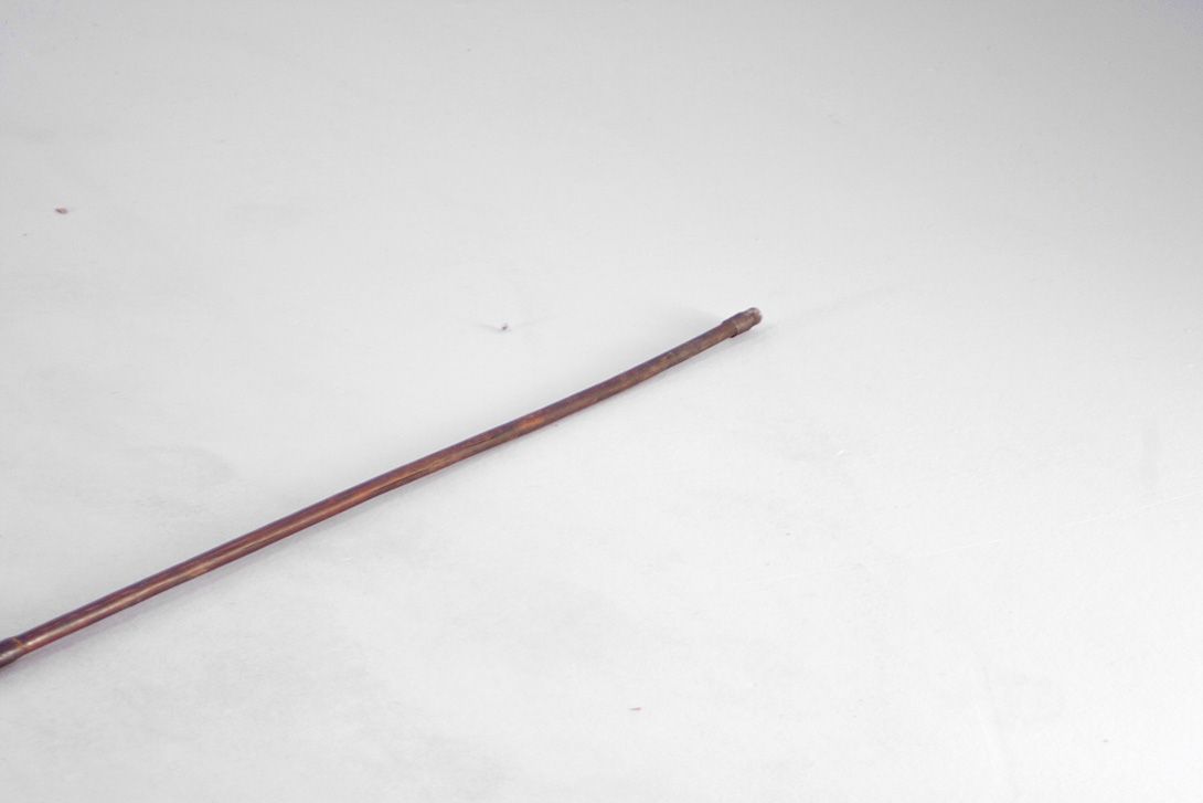 Foto Fishspear Egypt 1930 h133