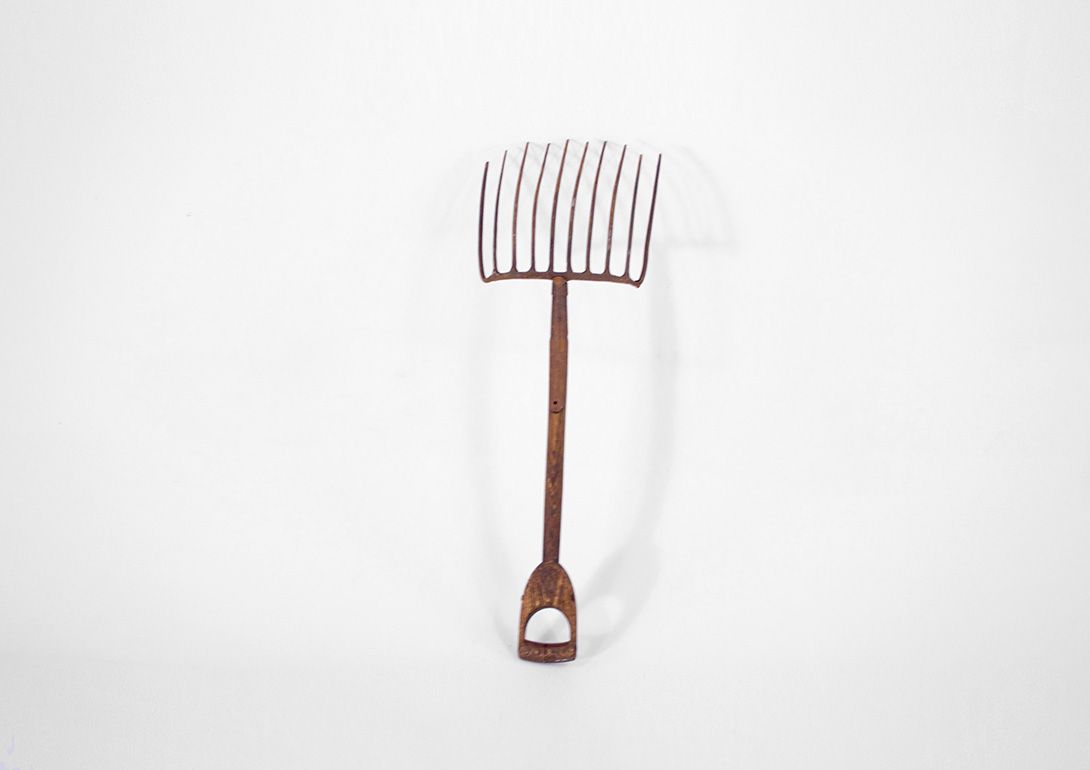 Foto Old Rusty Rake h112x