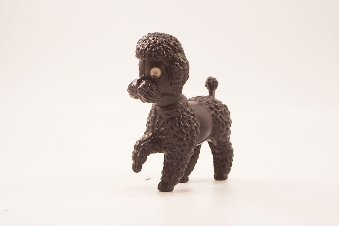 Foto Cute Black Poodle With Wobbly Eyes