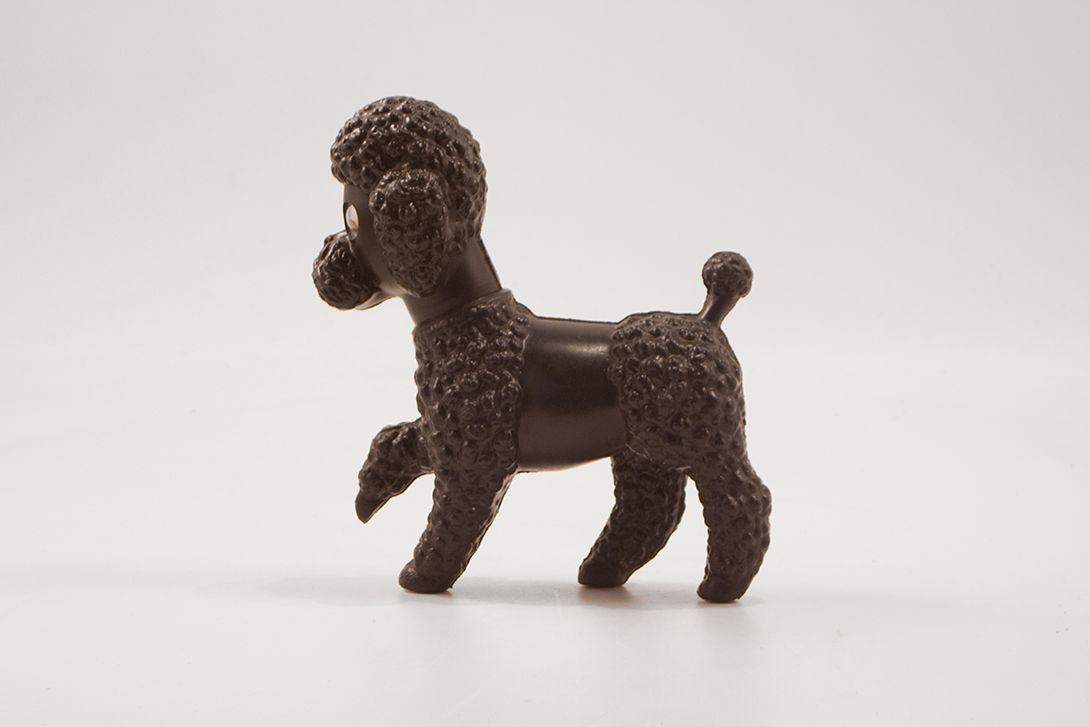 Foto Cute Black Poodle With Wobbly Eyes