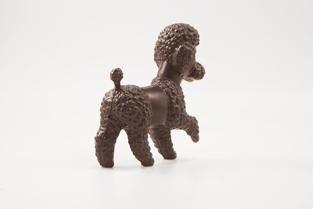 Foto Cute Black Poodle With Wobbly Eyes
