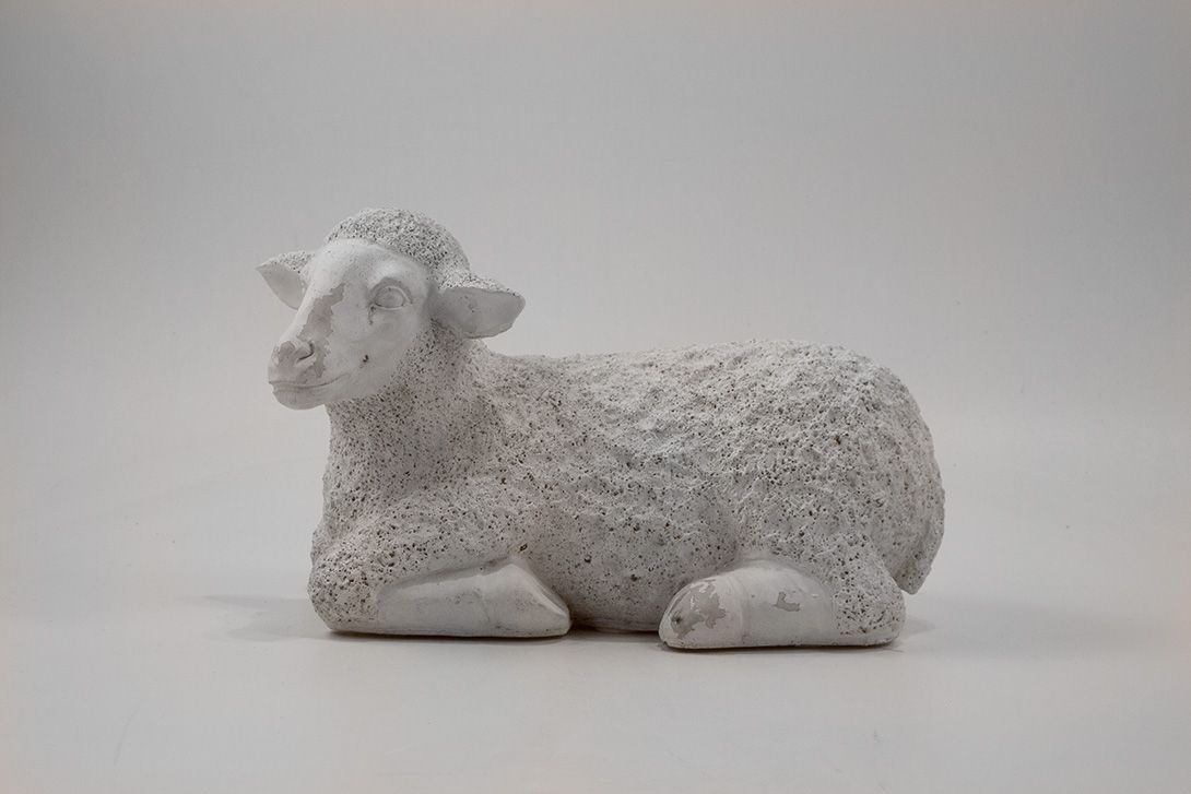 Foto Pumice Sheep h24x40x20