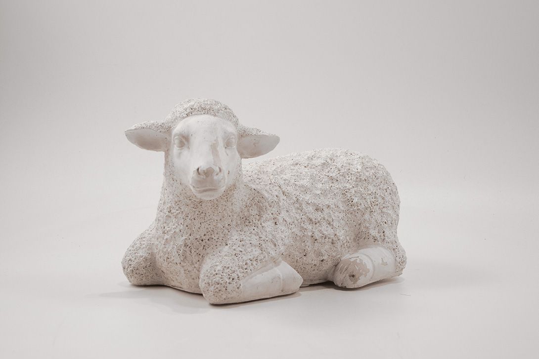 Foto Pumice Sheep h24x40x20