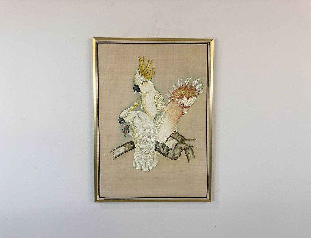 Foto Print of Three Cockatoos h77x55 5A