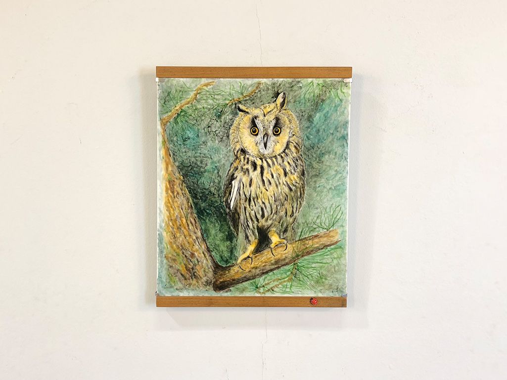 Foto Wall Decoration Owl on Canvas Sweden 1960 h37x29 8B6