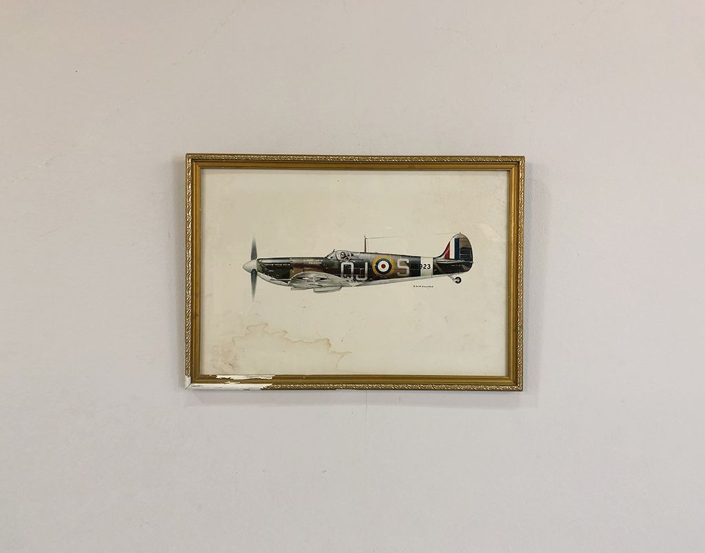 Foto Print Aeroplane USA 1930 h32x46 23C3