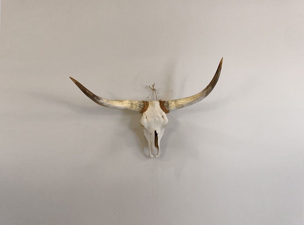 Foto Horns h80x100x38