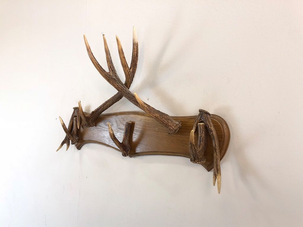 Foto Wardrobe Antlers