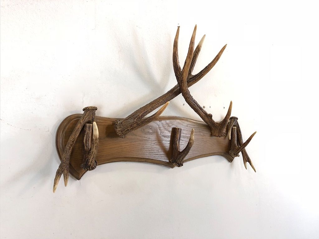 Foto Wardrobe Antlers