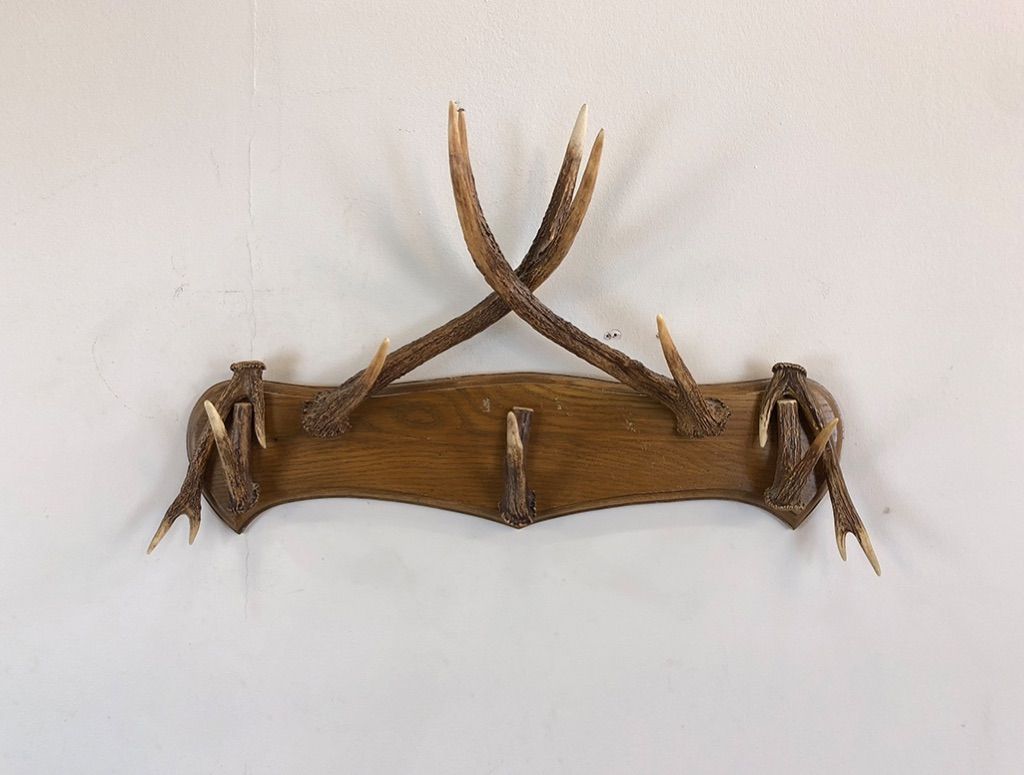 Foto Wardrobe Antlers