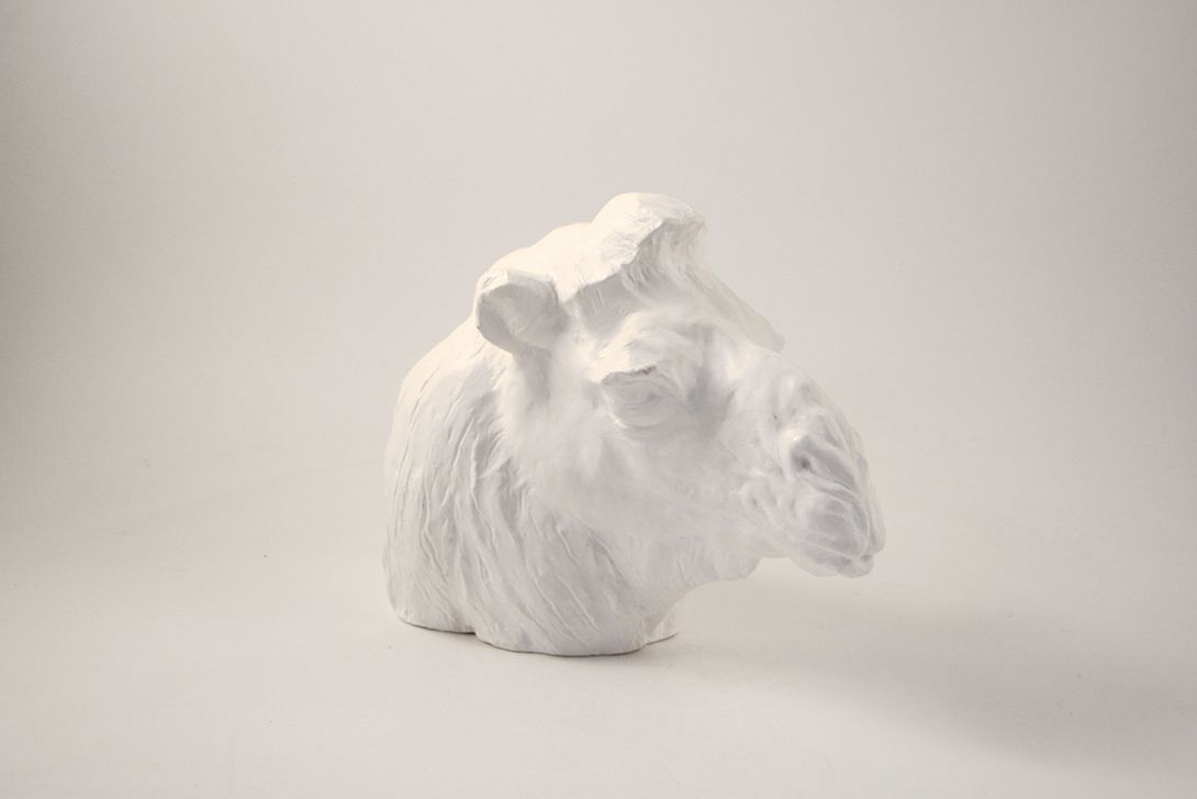 Foto Clay Sculpture of Lama Head