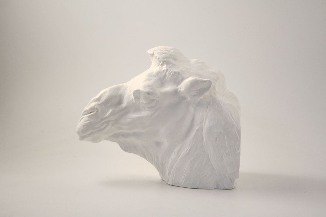 Foto Clay Sculpture of Lama Head