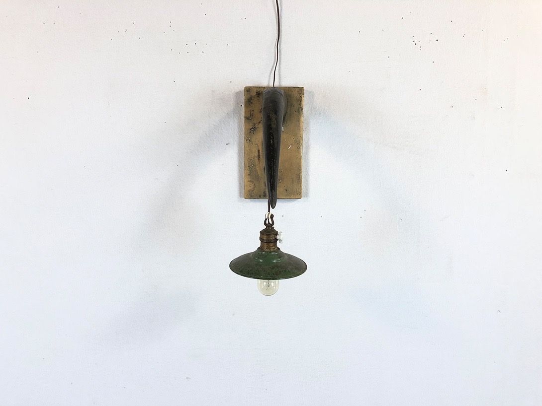 Foto Rusty Wall Lamp and Horn h43