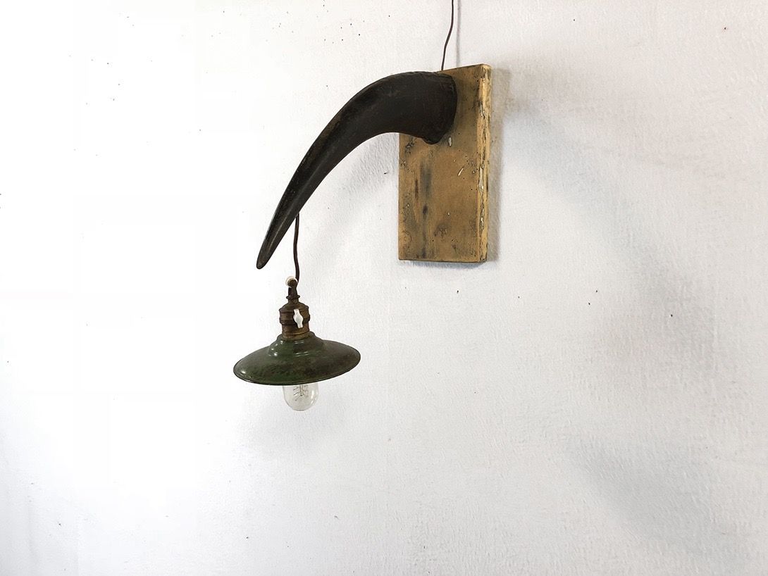Foto Rusty Wall Lamp and Horn h43