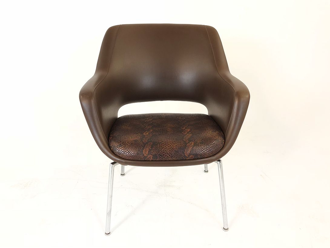 Foto Cocoa Brown Sky Leather Armchair with Snake Cushion 1964
