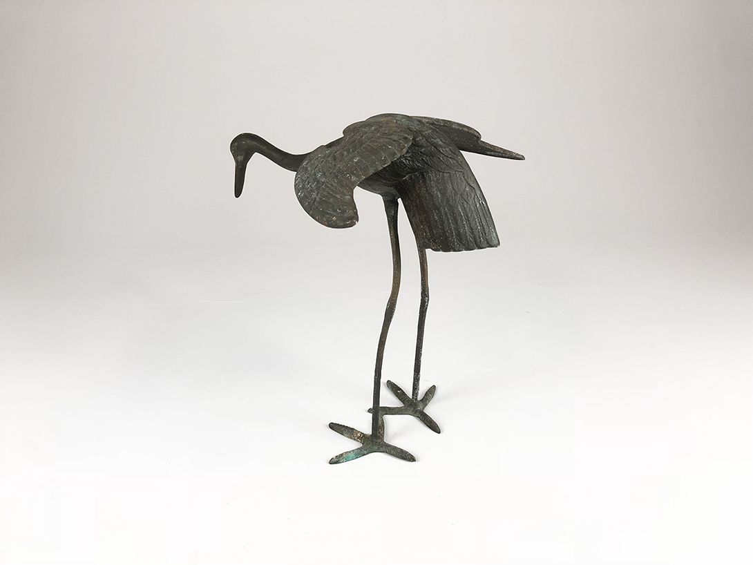 Foto Stork with Spread Wings