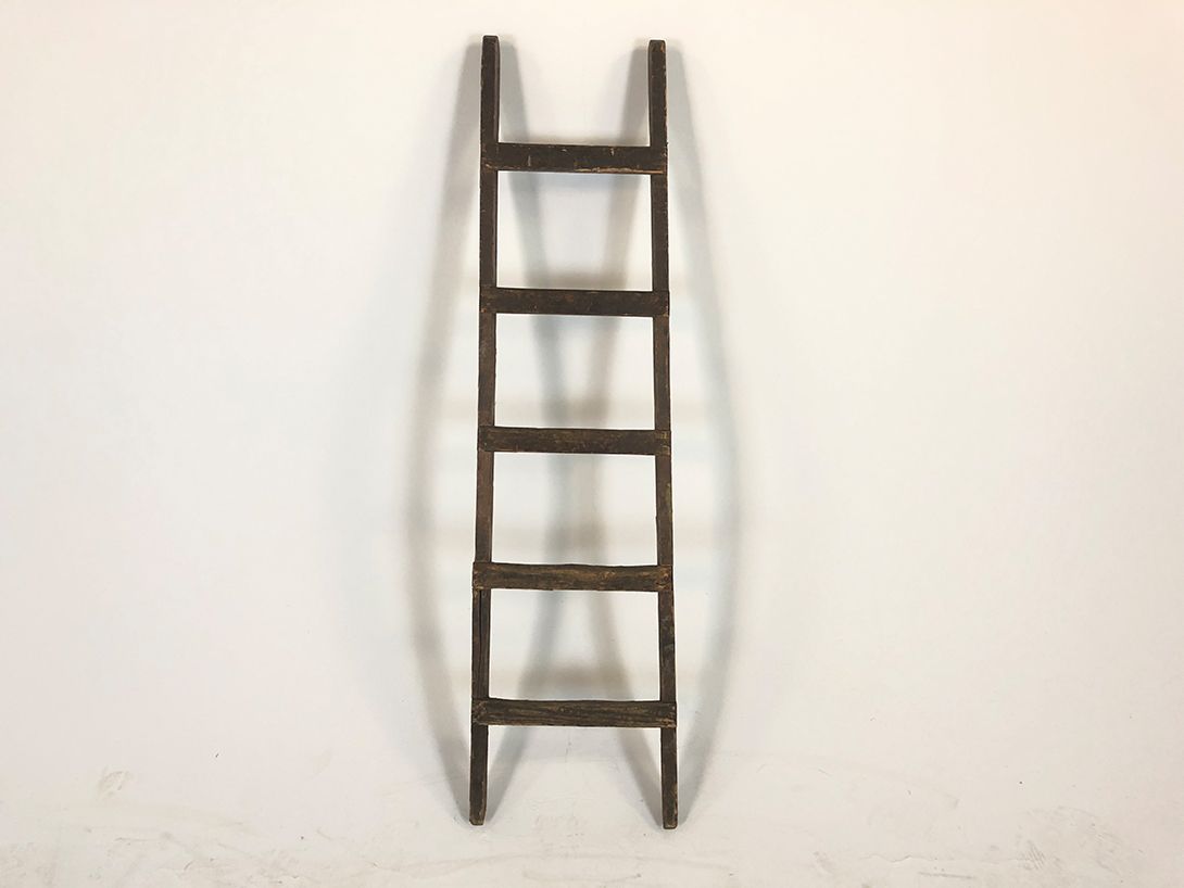 Foto Ladder h150x34x8