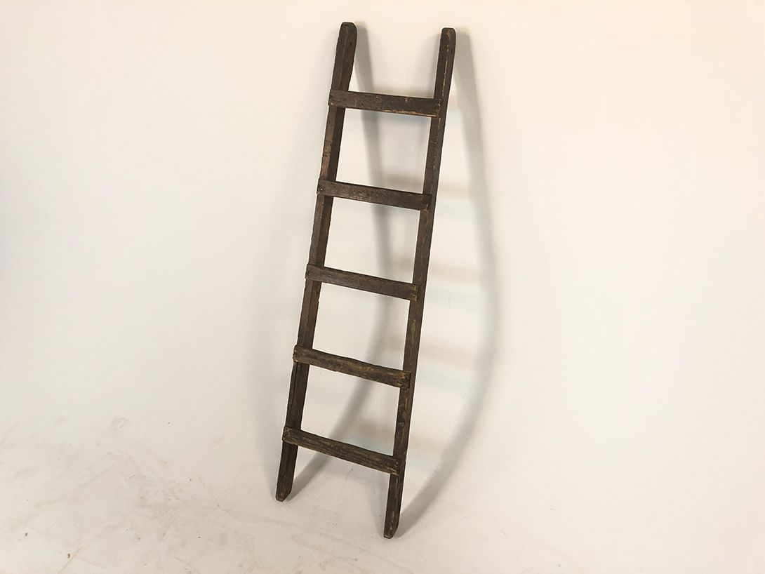 Foto Ladder h150x34x8