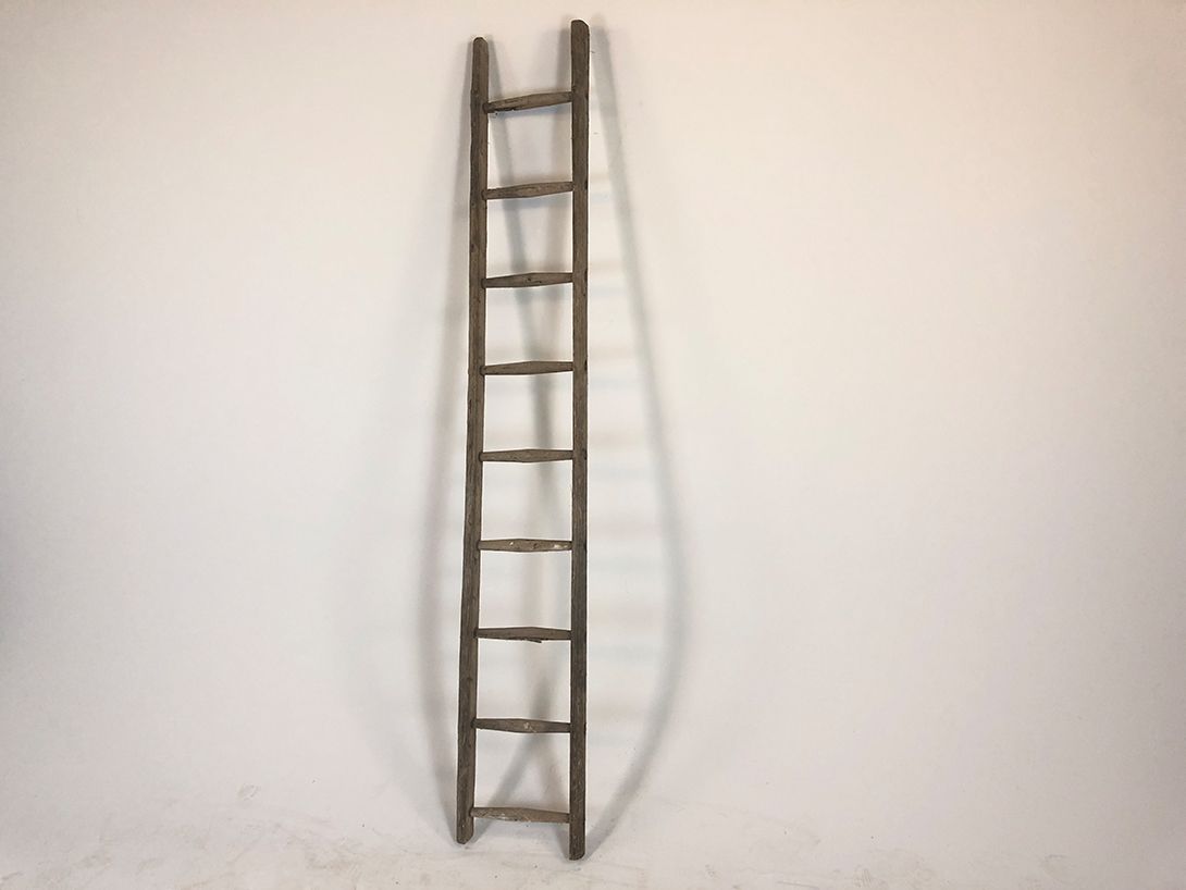 Foto Very Tall Ladder h227x36x7