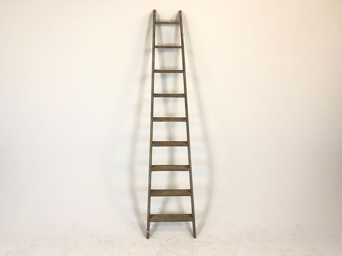 Foto Ladder h136x50x10