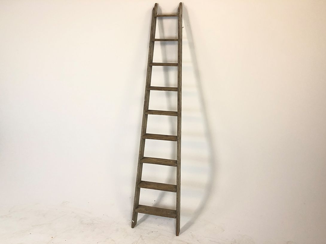 Foto Ladder h136x50x10