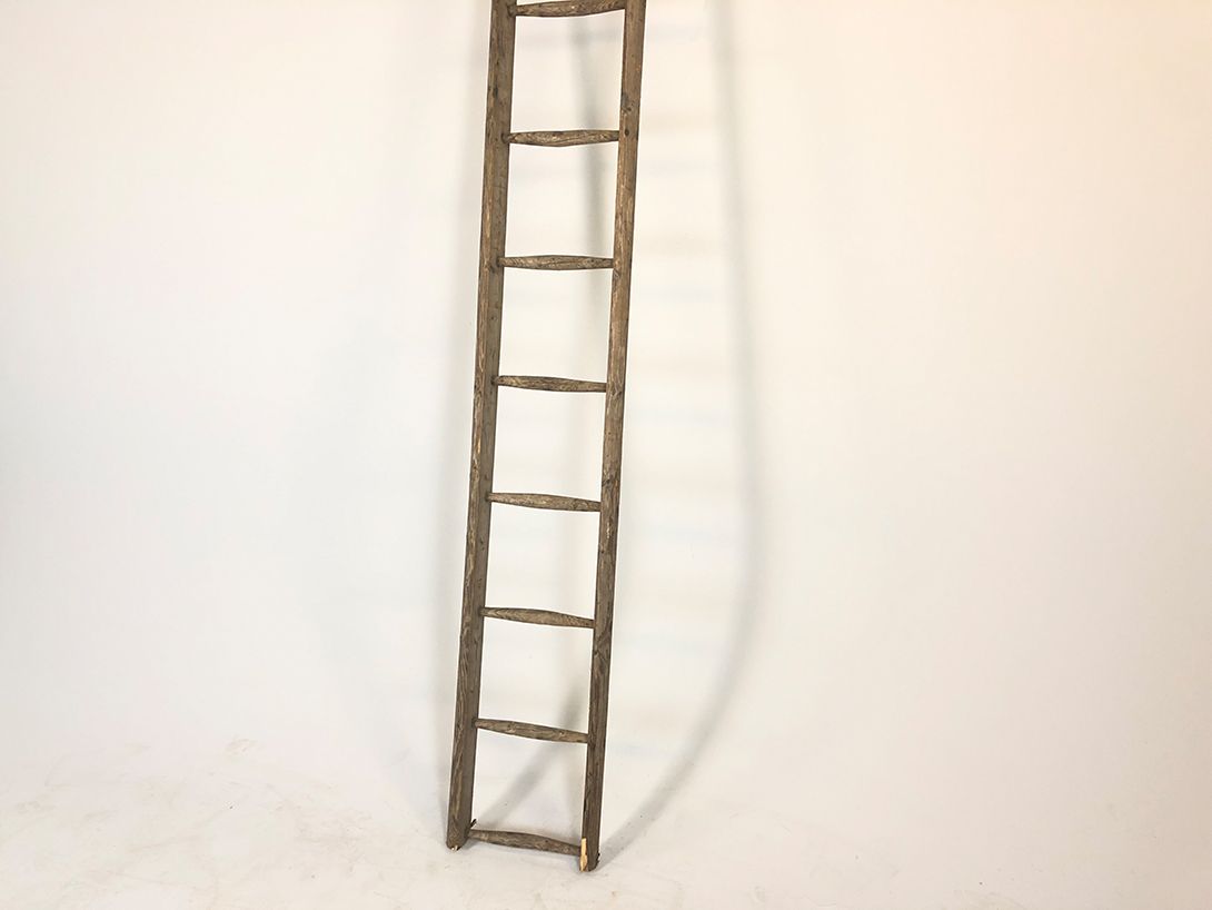 Foto Ladder h335x36x8