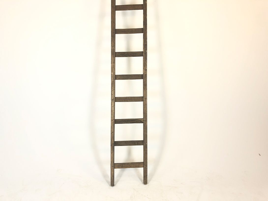 Foto Tall Ladder h280x42x6
