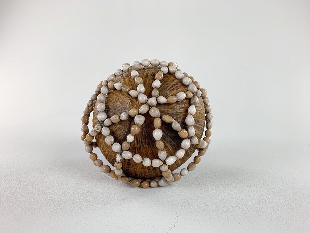 Foto Rattle with Seashells