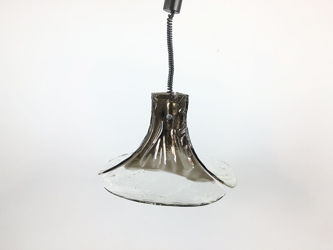 Foto 1960s Smoky Glass Ginkgo Biloba Look Pendant Lamp by Kalmar Franken KG ø63