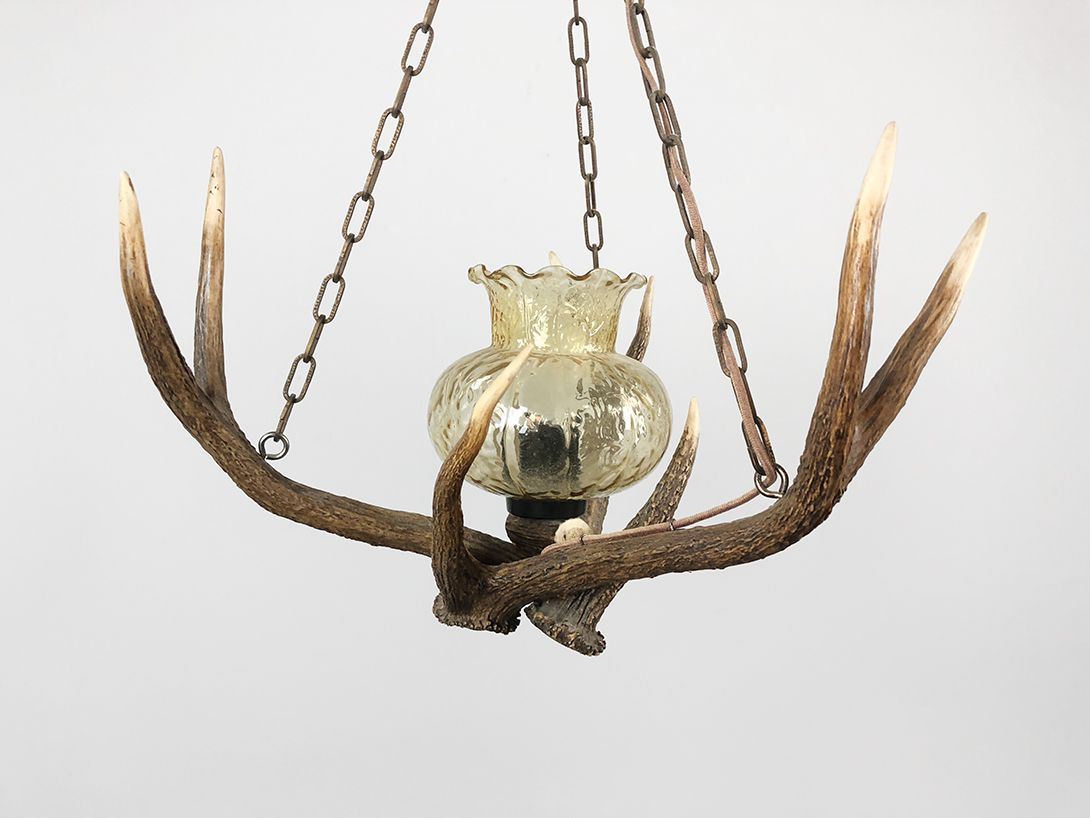 Foto Pendant Lamp with Horns h68